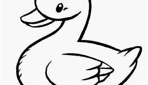 Mewarnai Gambar Bebek Kartun Hitam Putih : Cygnini Dunstable Swan Jewel