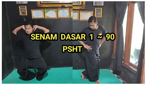 Buku Senam Dasar Psht Lengkap - Ranah Belajar