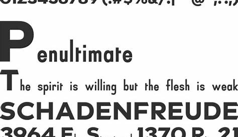 Twentieth Century Font Download - Fonts Empire