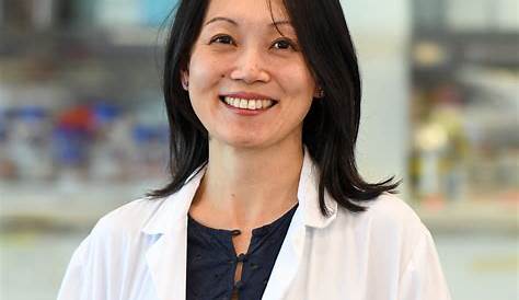 Jun Yang, MD, PhD | Cooper University Health Care