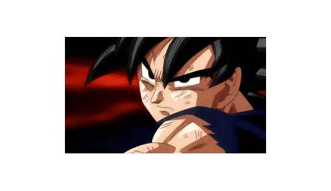 Dbz Goku GIF - Dbz Goku DragonBallZ - Discover & Share GIFs