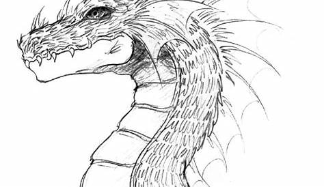 Dragon Head Lineart by Sillageuse on DeviantArt