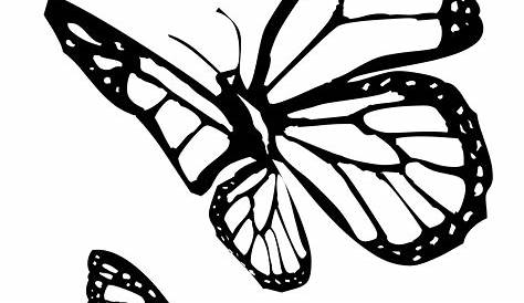 Butterfly Flying Drawing | Free download on ClipArtMag