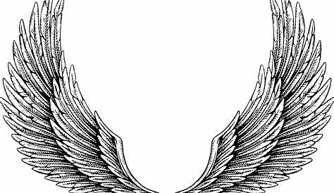 Hand drawn wing silhouette 01 - Transparent PNG & SVG vector file