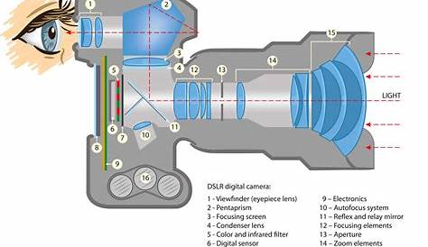 Dslr Camera Details Canon EOS 600D DSLR View Specifications &