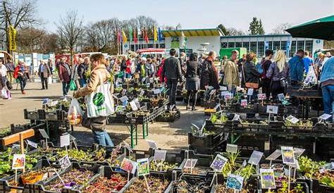 Du und dein Garten: Spezialmarkt 2017