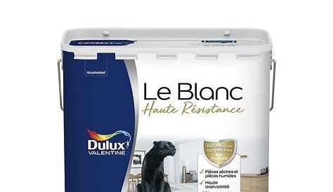 Dulux Valentine Blanc Satin Avis Simple Et Déco MultiSupports