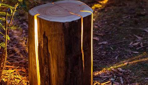 Designer Duncan Meerding Turns Old Salvaged Logs Into Awesome Looking Lamps