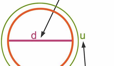 Kreisumfang berechnen - Übungen mit Lösungen | Kreisumfang, Mathe