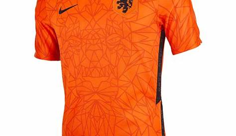 2012/13 Netherlands Replica Men's Soccer Jersey
