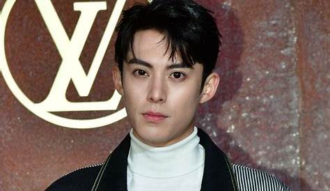 Dylan Wang - Net Worth, Salary, Age, Height, Weight, Bio, Family, Career