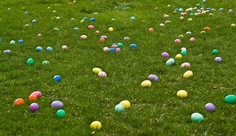 Easter Must Haves Time Free Stock Photo Public Domain Pictures