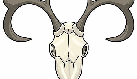 simple skull tattoos - Google Search | Deer skull tattoos, Simple skull