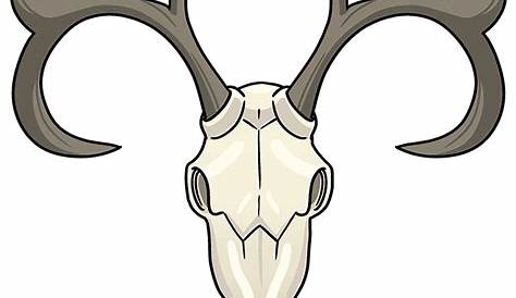 Deer Drawing Tutorial | Free download on ClipArtMag