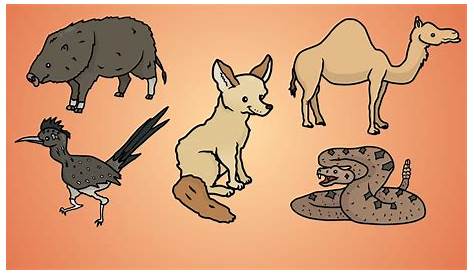 Easy Desert Animals To Draw How A Landscape How