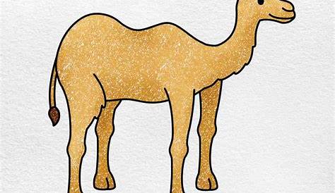 How to Draw a Camel for Kids - How to Draw Easy