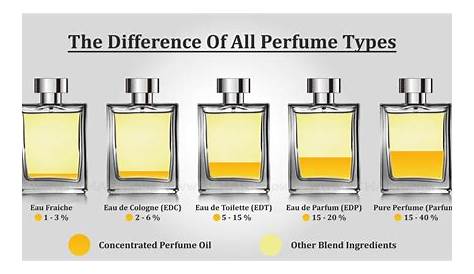 Eau De Toilette Vs Perfume Oil What Is The Difference Between EDT, EDP And Parfum