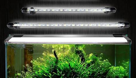 Eclairage Led Aquarium Avis Aquarien Eco Rampe LED 90CM Lampe BlancBleu SMD