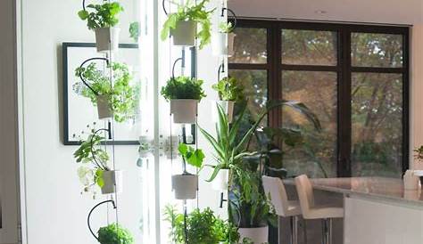 Eco Vertical Grow System Code 2437093022 Aeroponics Vegetable Gardens