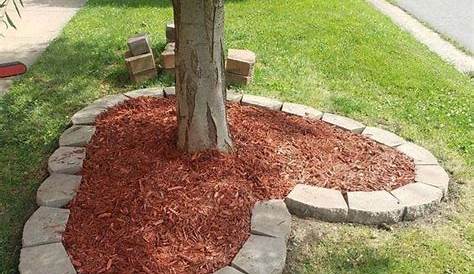 Edging Ideas Around Trees 45+ Backyard Landscape With Lawn Design