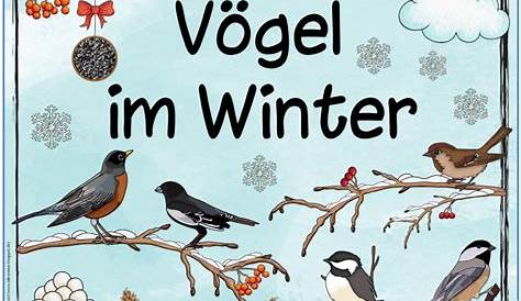 Vögel Im Winter Arbeitsblätter Kindergarten / Vogel Im Winter Wie
