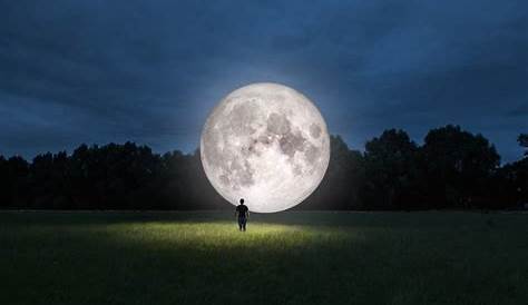 9 fenómenos que responden a los efectos de la luna | Bioguia