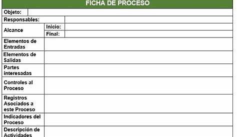 FICHA-DE-PROCESOS.docx | Servicio al Cliente | Logística