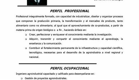 (PDF) HOJA DE VIDA Perfil Profesional | Loraines Aguilera - Academia.edu