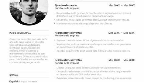 HOJA DE VIDA del perfil profesional de un contador público Contador