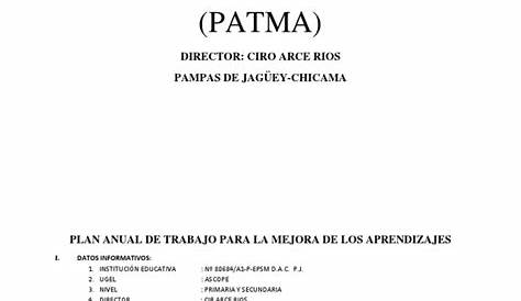 Ejemplo De Un Plan Anual De Trabajo Primaria Opciones De Ejemplo 83328