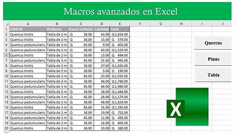 Macros visual basic for applications » Microsoft Excel