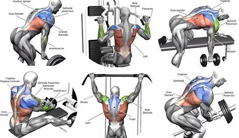 Ejercicio espalda | Workouts | Entrenamiento espalda, Ejercicios de