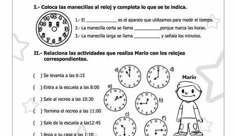 Actividades Para Niños De Tercero De Primaria Matematicas - Niños