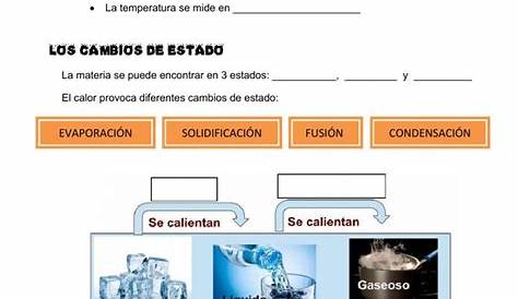El calor Ficha interactiva | Social science, Science class, English