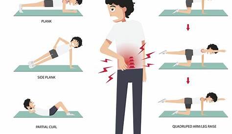 Ejercicio para fortalecer la espalda – Dietas de nutricion y alimentos