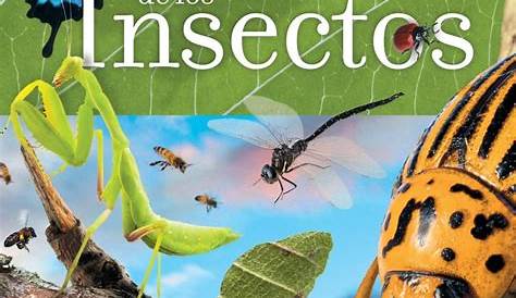 ¿Cuántos insectos hay en el mundo?