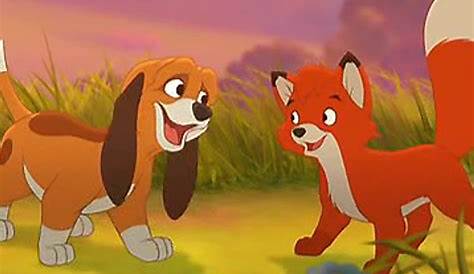 BANCO DE IMÁGENES GRATIS: El zorro y el perro - Dog and fox