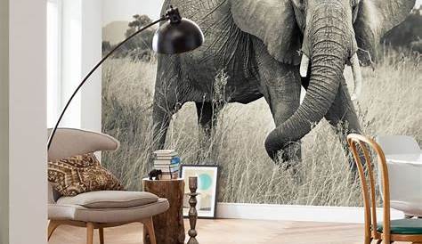 Elephant Wall Decor Bedroom