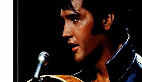 Elvis Presley Wall Art, Canvas Prints, Framed Prints, Wall Peels