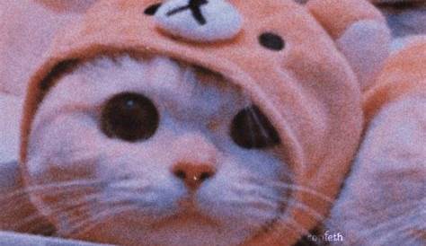 Kucing, wajah, dengan, air mata Ikon di 780 Free Vector Emoji