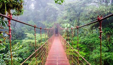 Los 13 Mejores Lugares Turísticos de Costa Rica | Selina