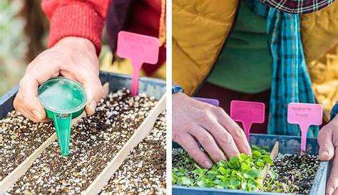 Semer et planter les salades avec la Lune en 2021 | Cultiver de la