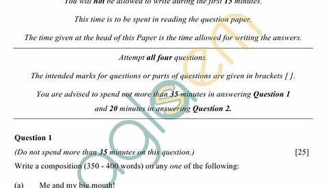 English 1 (English Language) 2008-2009 ICSE Class 10 question paper