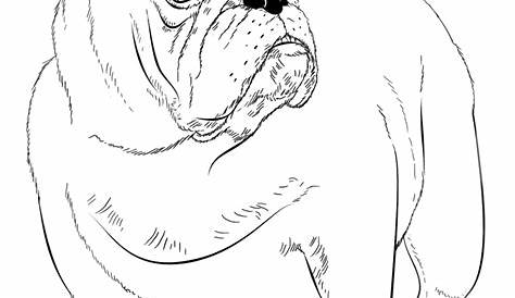 English Bulldog Coloring Pages Printable at Free