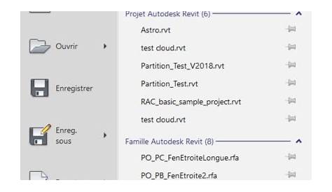 Enlever L’ouverture Automatique Sur Le Double-clic Dans Autodesk Revit