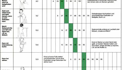 Entwicklungsposter: Die Entwicklung von Kleinstkindern und Babys im