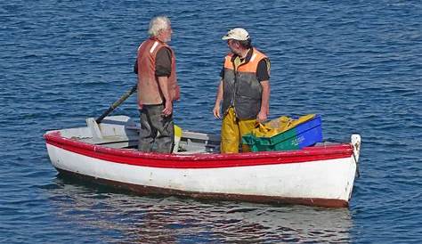 Equipement Barque De Peche Horsbord 385 Terhi Oy Open / Pêche