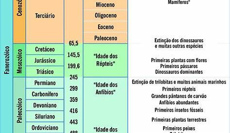 Eu sou o cara: Tempo Geológico e Tempo Histórico