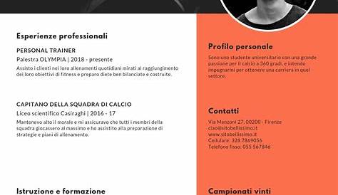 Curriculum vitae studente esempio