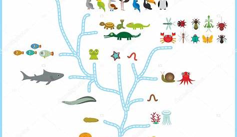 L’evoluzione delle specie | Pikaia